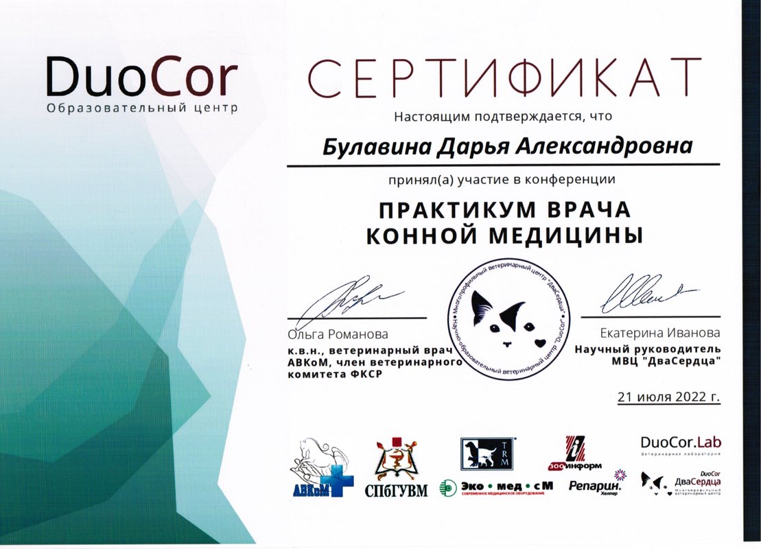 Документ или сертификат