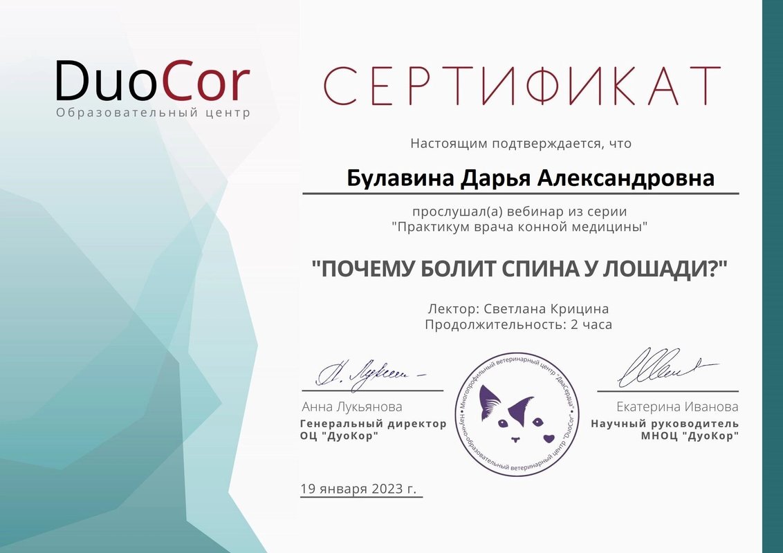 Документ или сертификат