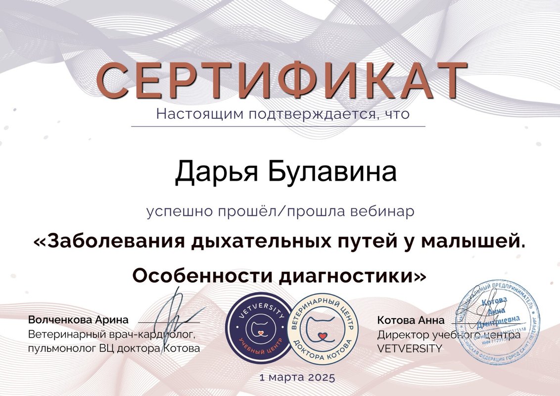 Документ или сертификат