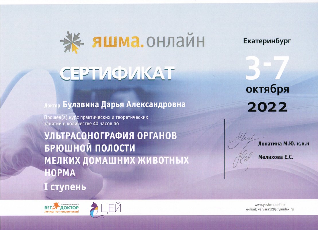 Документ или сертификат