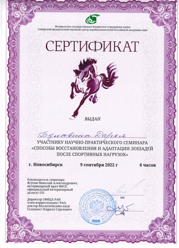 Документ или сертификат
