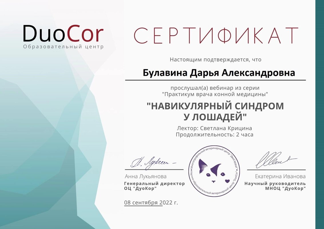 Документ или сертификат