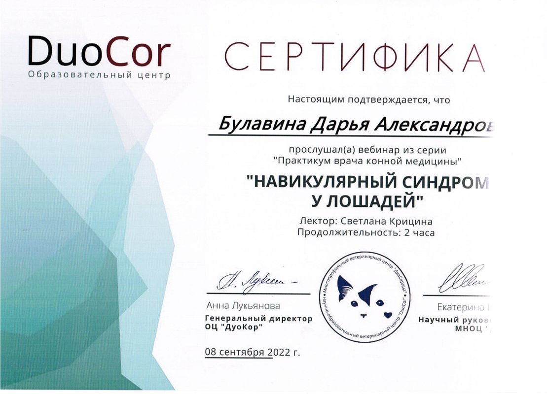 Документ или сертификат