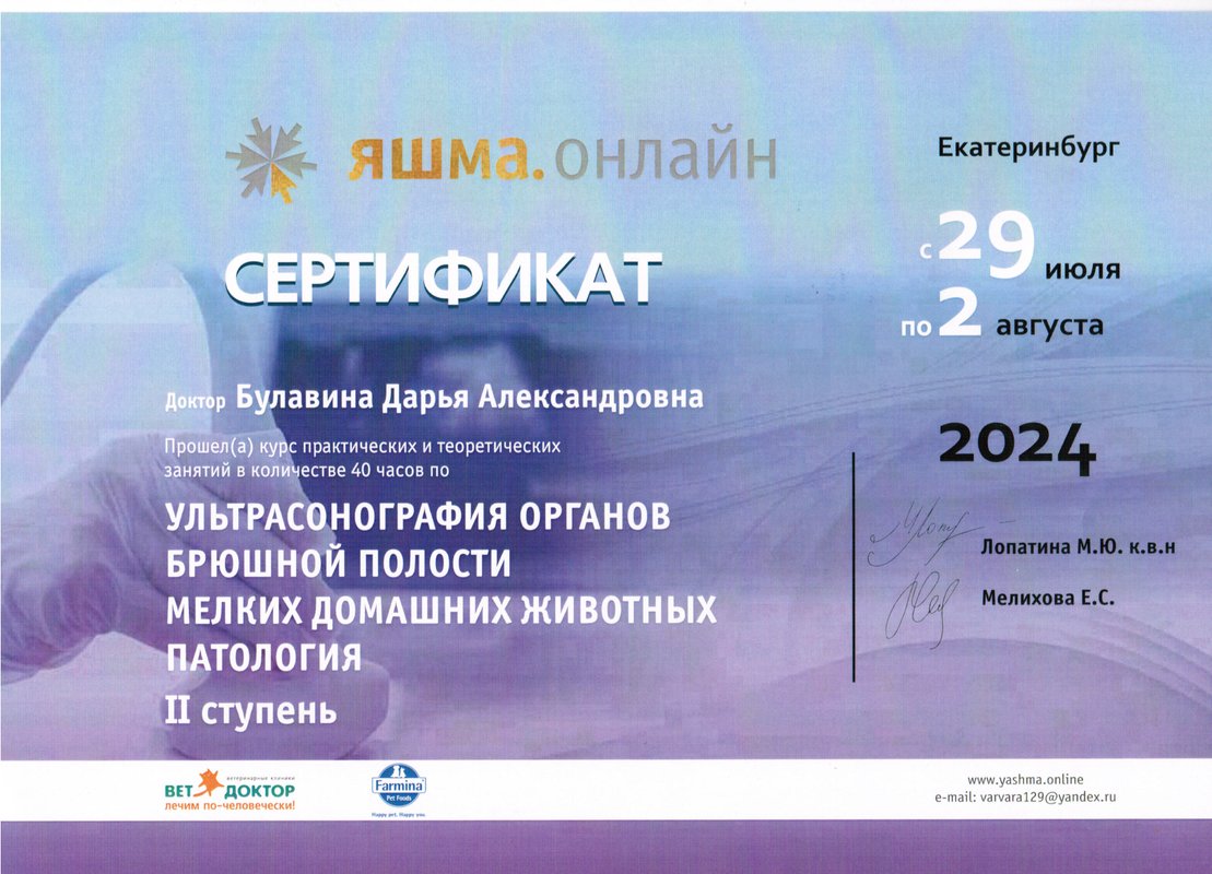 Документ или сертификат