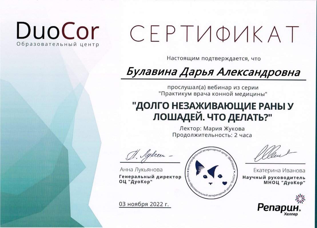 Документ или сертификат