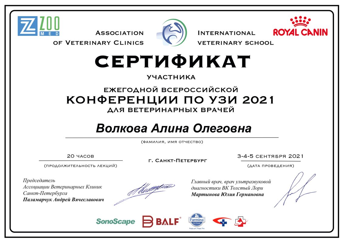 Документ или сертификат