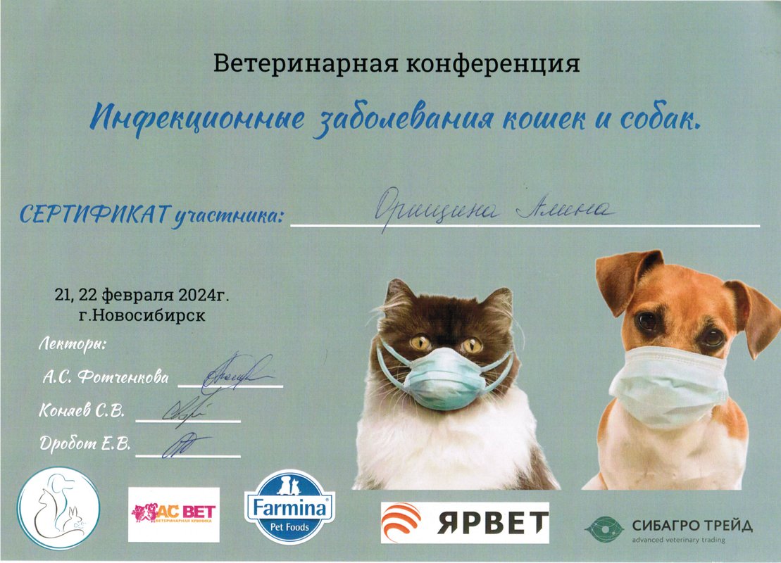 Документ или сертификат