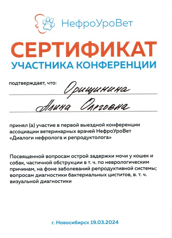 Документ или сертификат