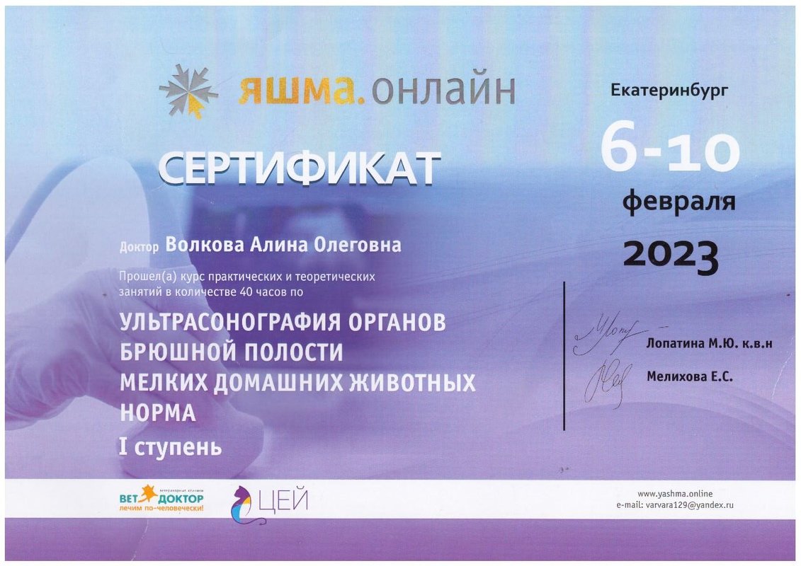 Документ или сертификат