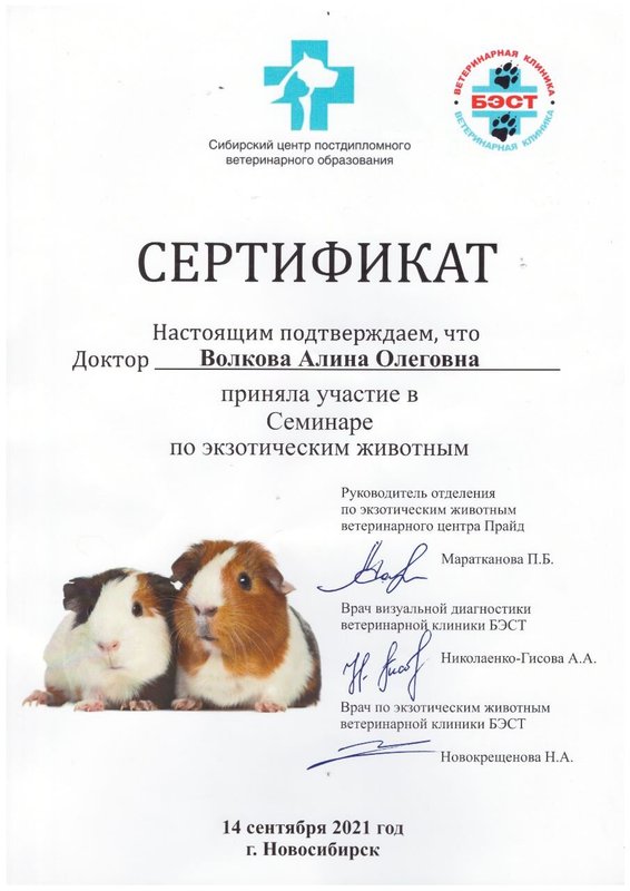 Документ или сертификат