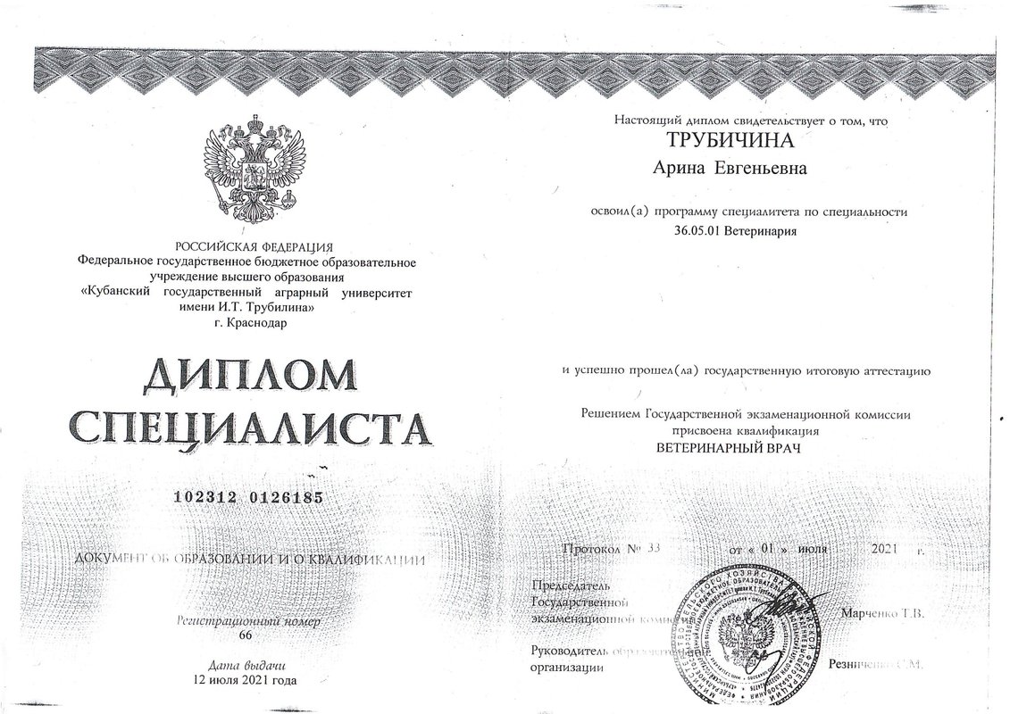 Документ или сертификат