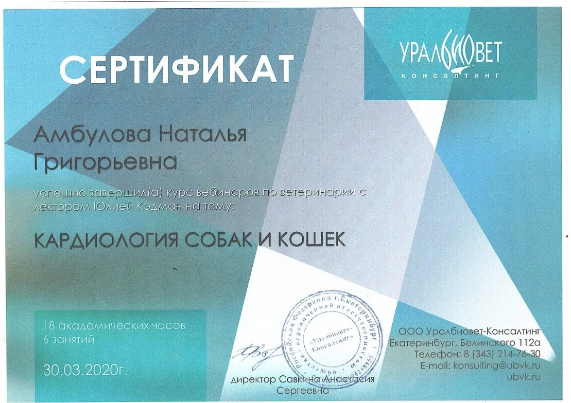Документ или сертификат