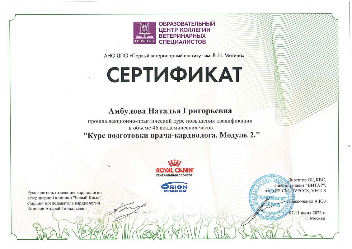 Документ или сертификат