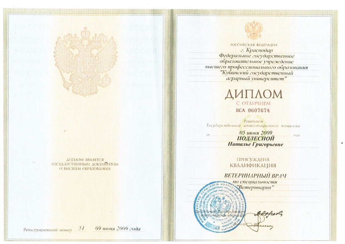 Документ или сертификат