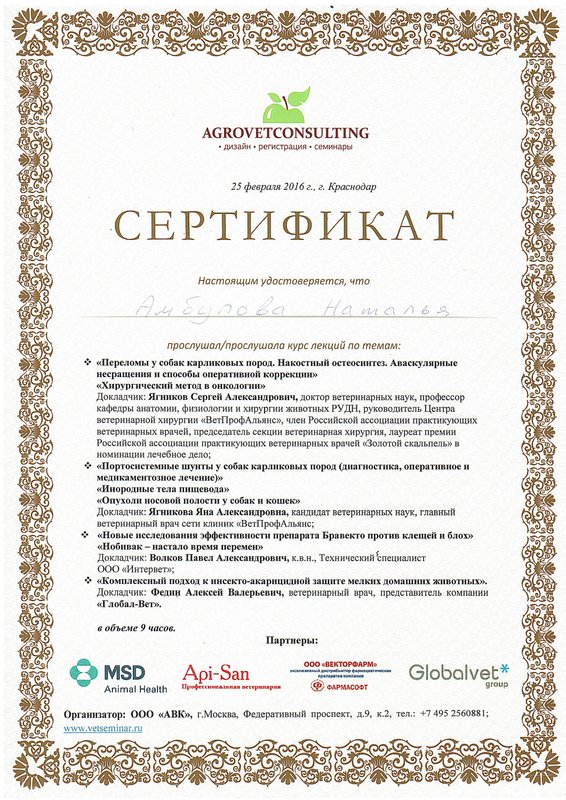 Документ или сертификат