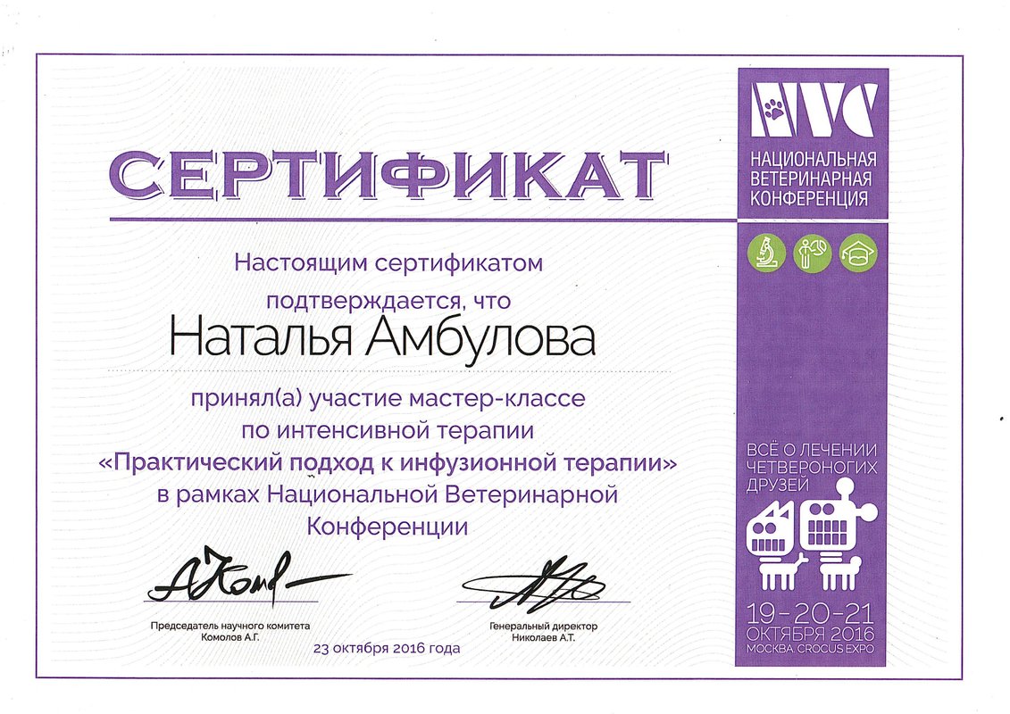 Документ или сертификат