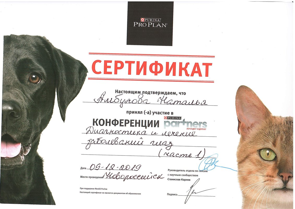 Документ или сертификат