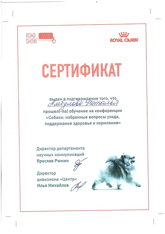 Документ или сертификат