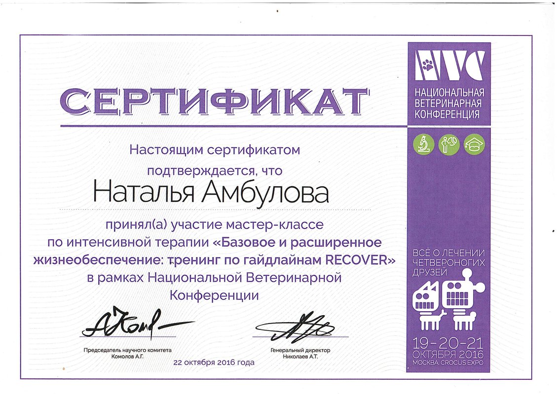 Документ или сертификат