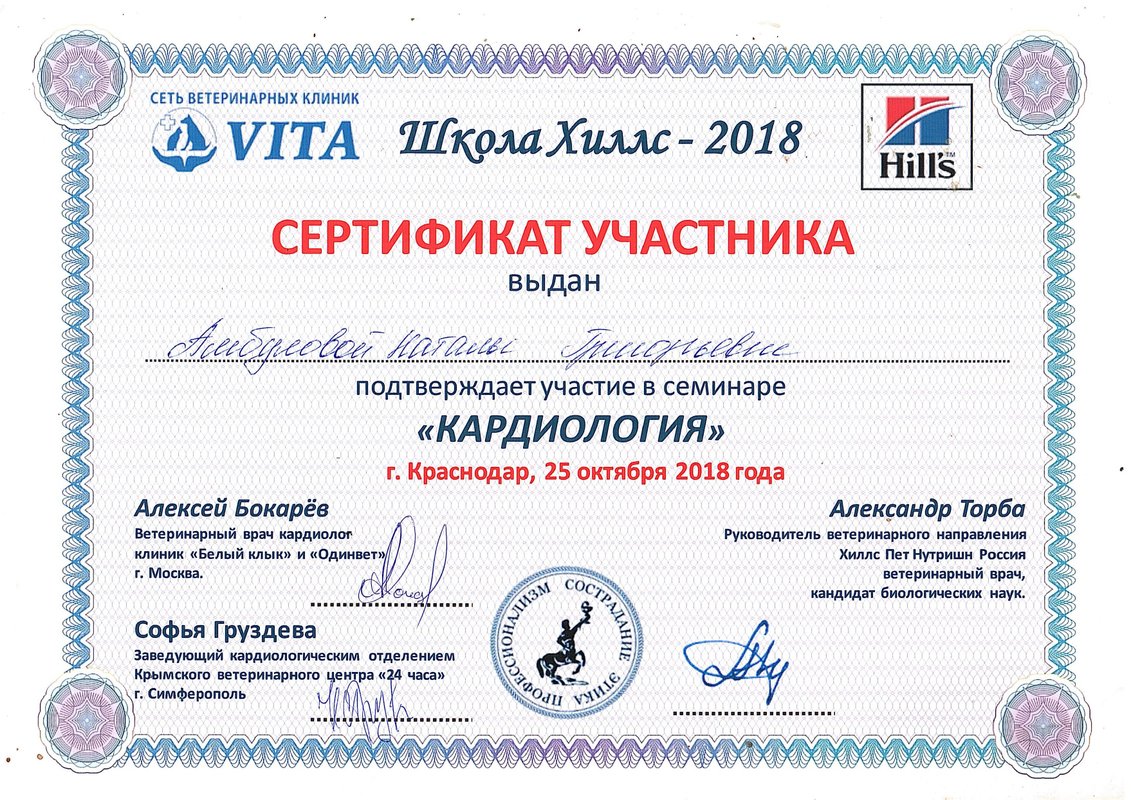 Документ или сертификат