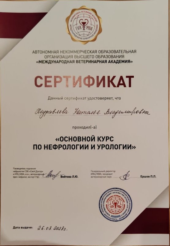 Документ или сертификат