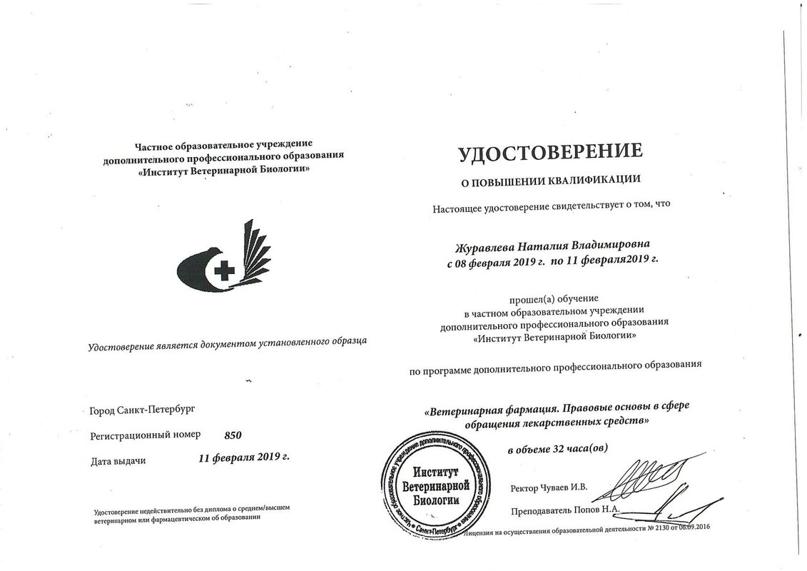 Документ или сертификат