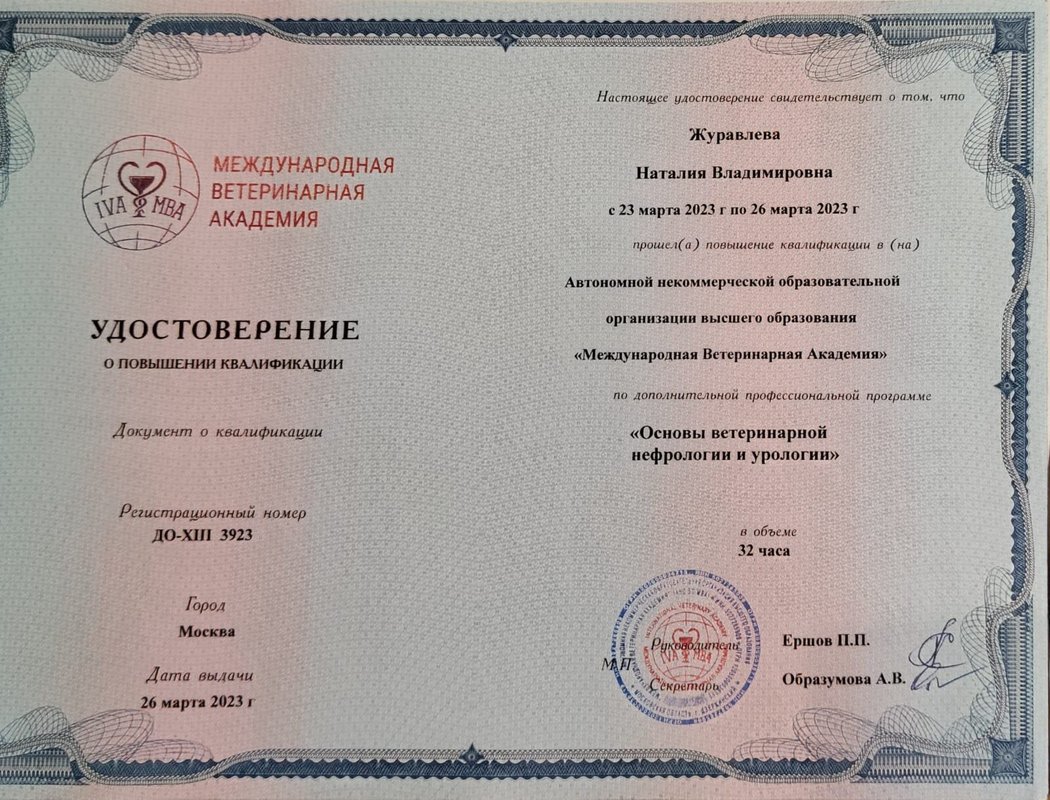 Документ или сертификат