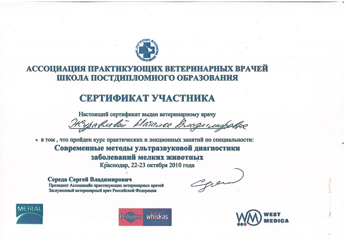 Документ или сертификат