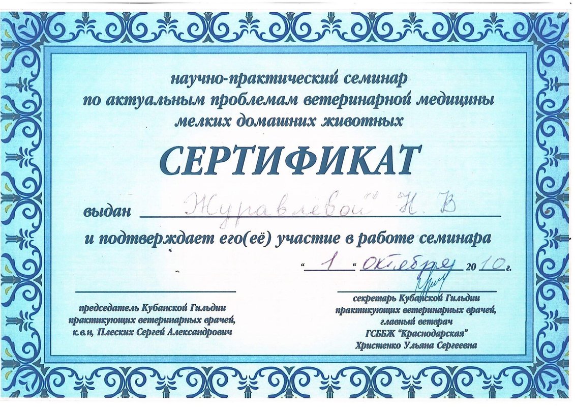 Документ или сертификат