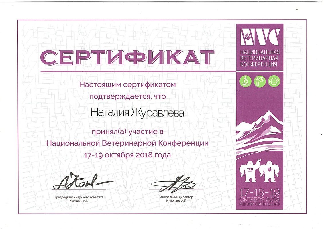 Документ или сертификат