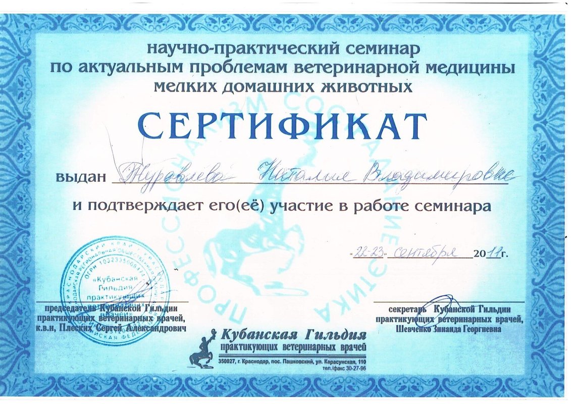 Документ или сертификат