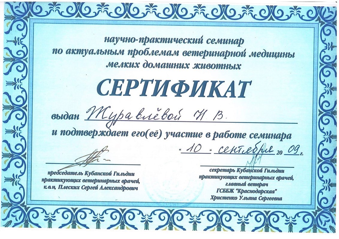 Документ или сертификат