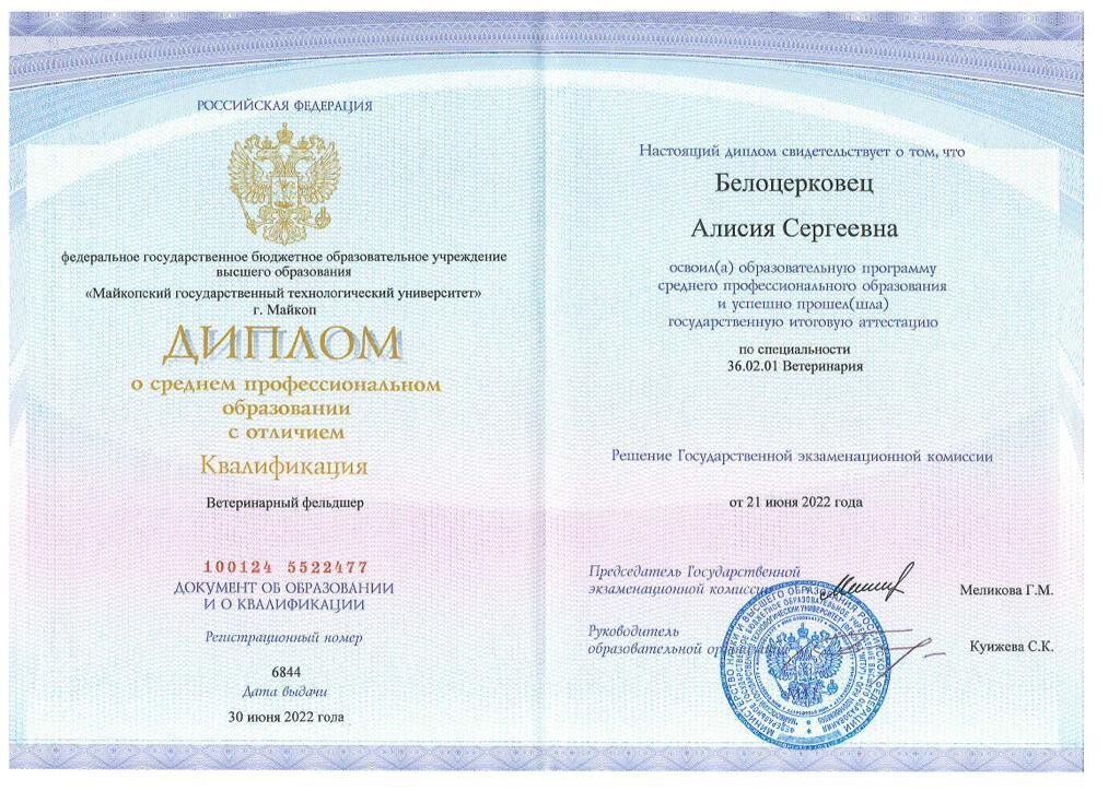 Документ или сертификат
