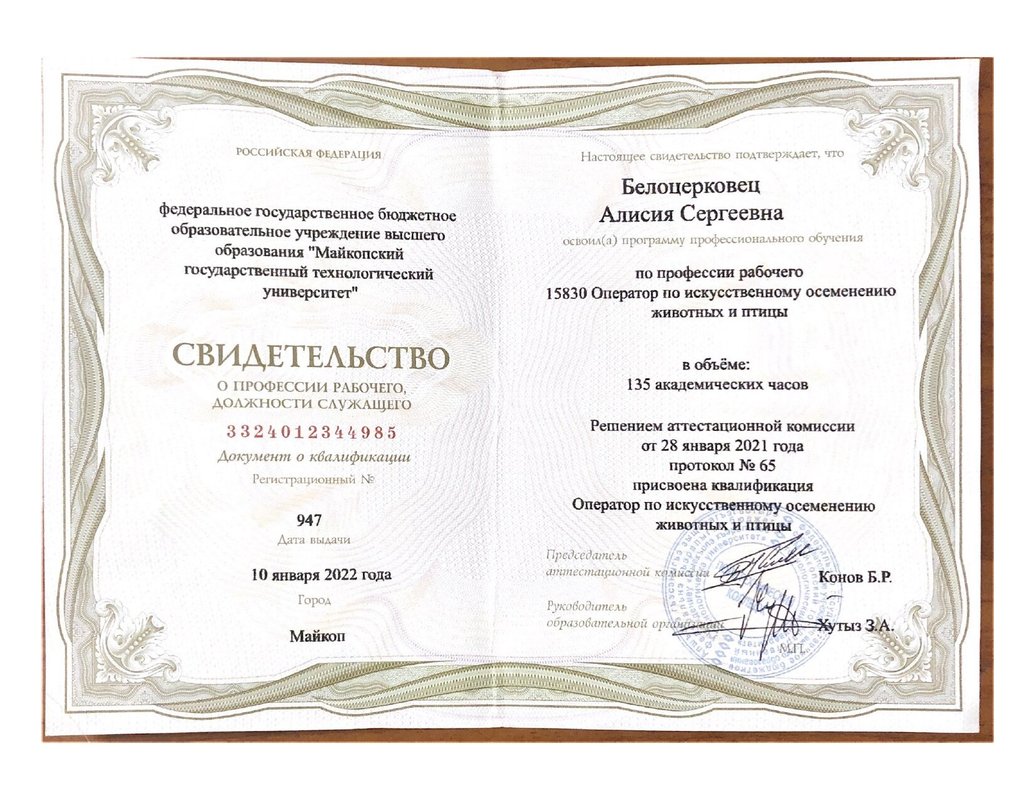 Документ или сертификат
