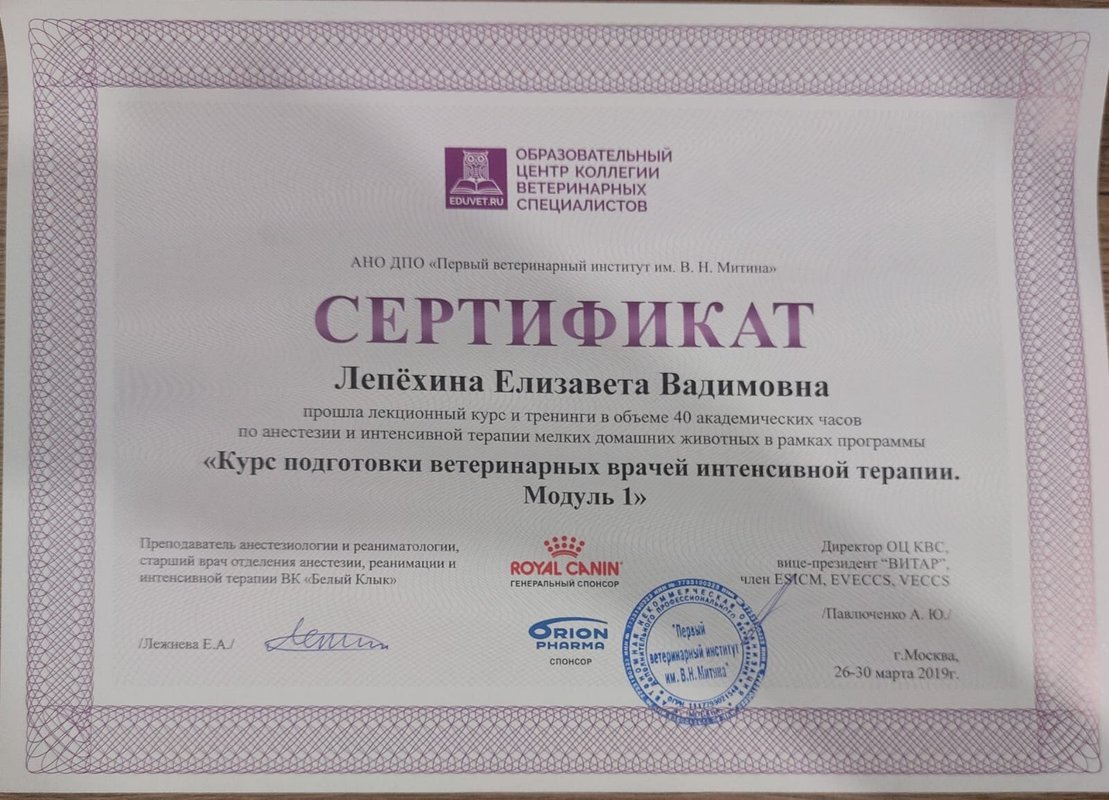 Документ или сертификат