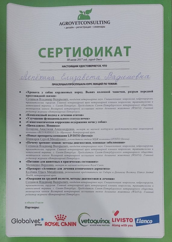 Документ или сертификат