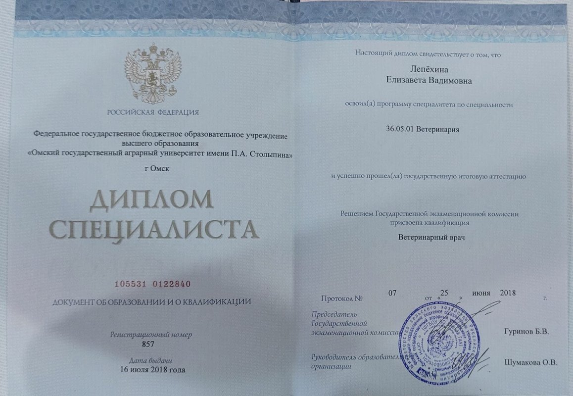 Документ или сертификат