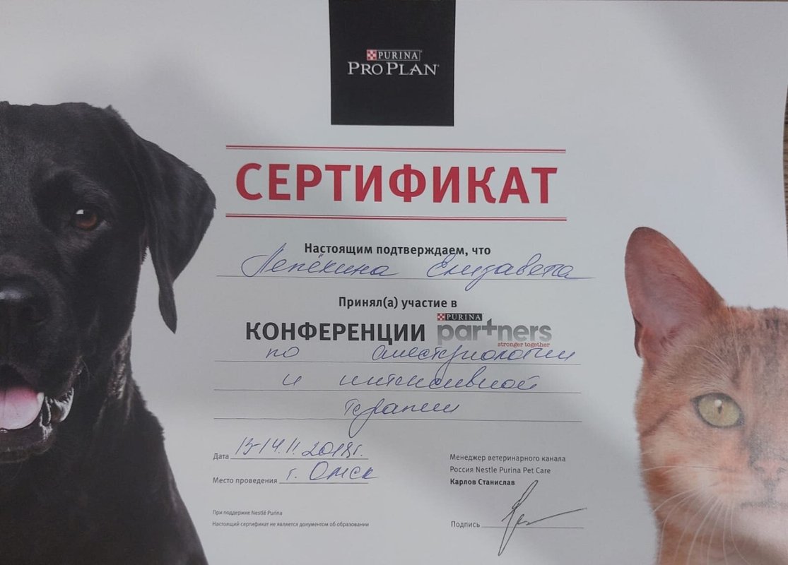 Документ или сертификат