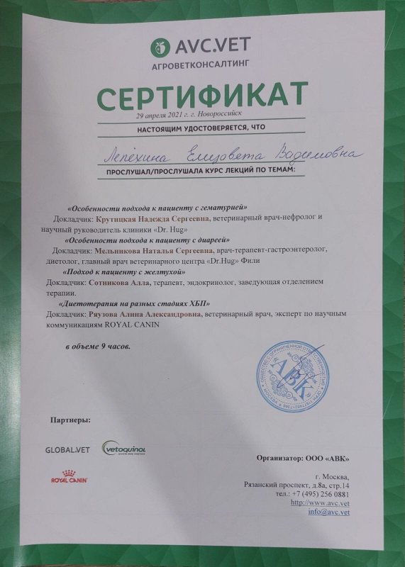 Документ или сертификат