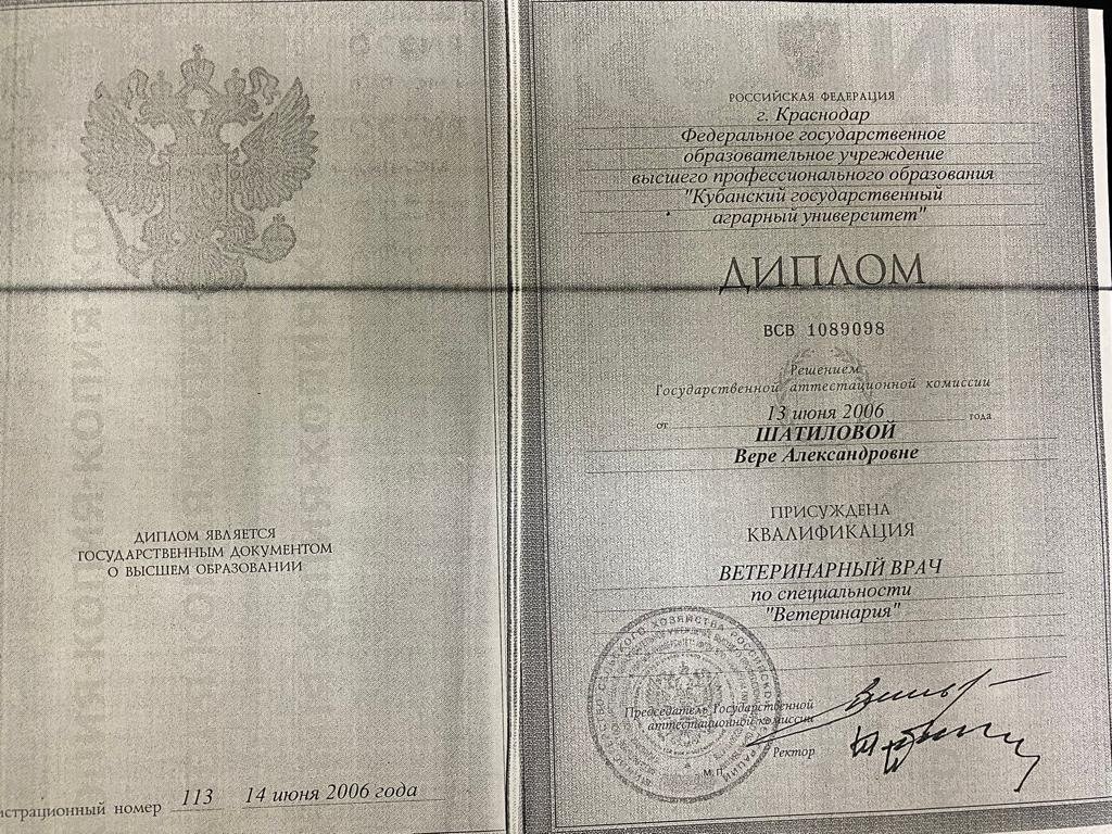 Документ или сертификат