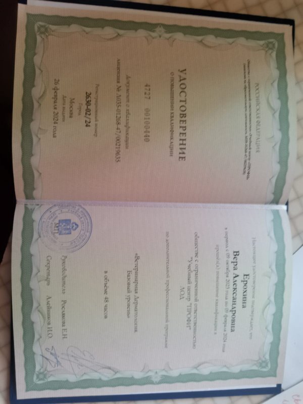 Документ или сертификат
