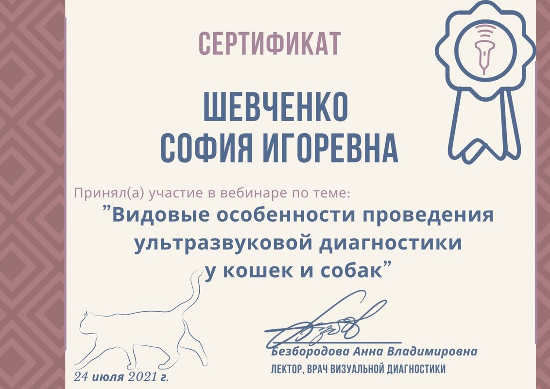 Документ или сертификат