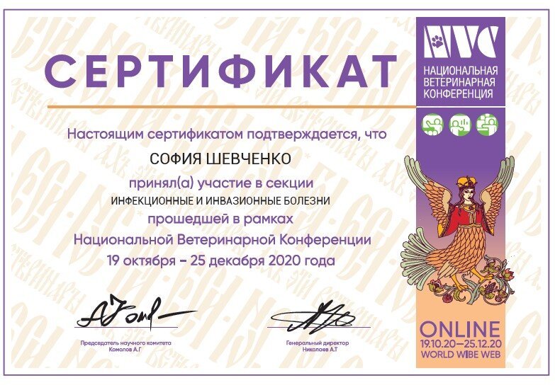 Документ или сертификат