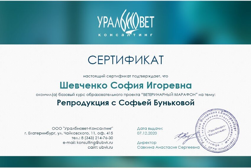 Документ или сертификат