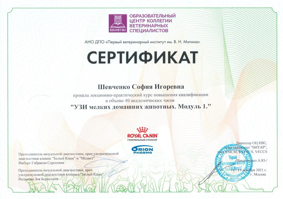 Документ или сертификат