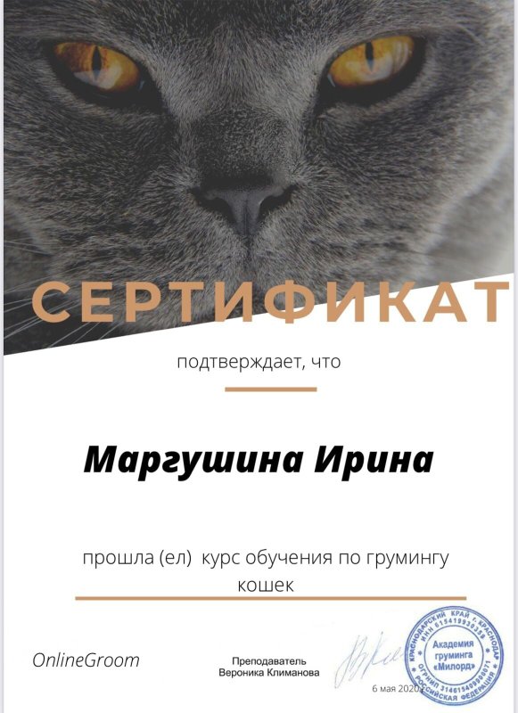 Документ или сертификат