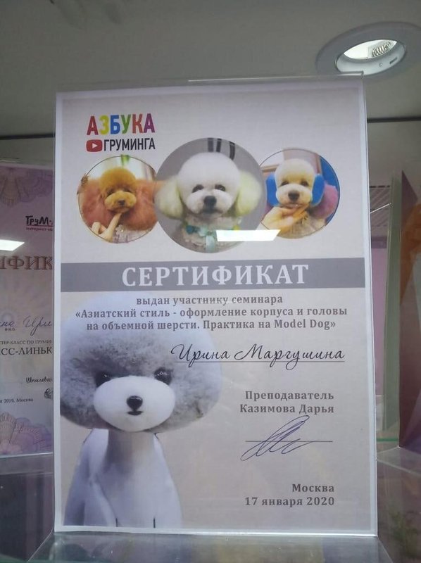 Документ или сертификат
