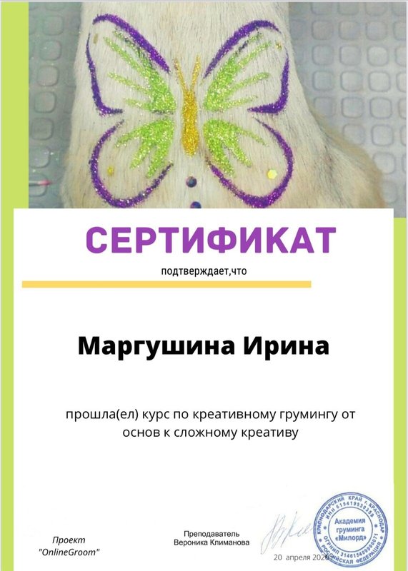 Документ или сертификат