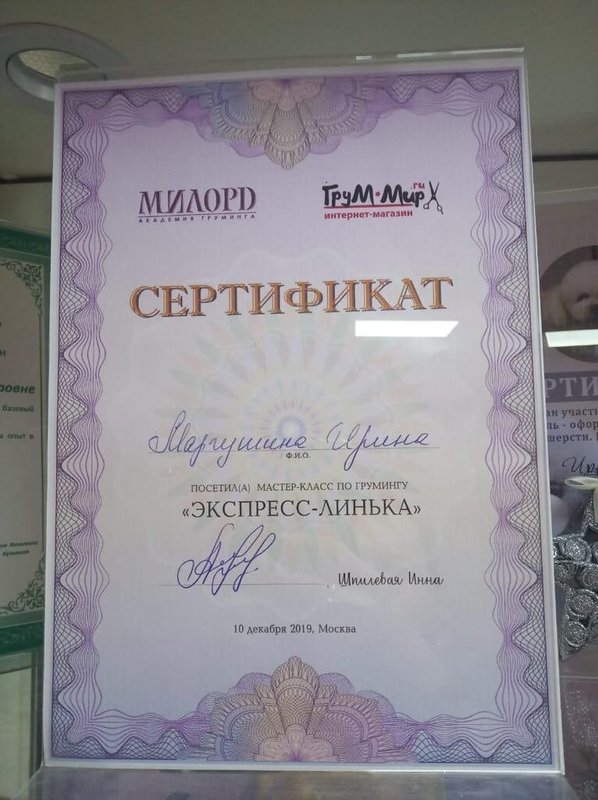 Документ или сертификат