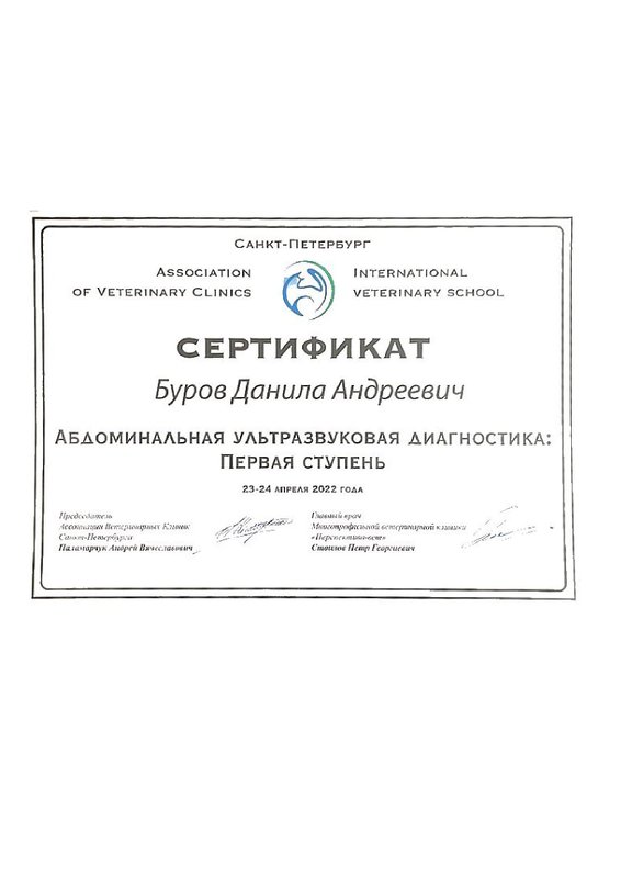 Документ или сертификат